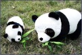 Soft Stuffed Plush Panda Big Round Animal Toy