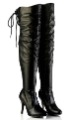 Long Sexy Knee High with The Wild Women Pole Dancing Boots