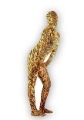 Tiger Color Full Body Anti-Dust Catsuits
