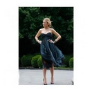 Tulle / Organza Blue Knee-length Celebrity Dresses