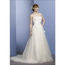 Popular A-line Strapless Appliqued Watteau Train Wedding Dresses