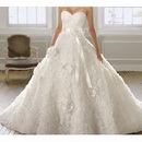 Free Shipping 2011 New Style Watteau Train Wedding Dresses