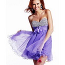 A-line Organza Sweetheart Sleeveless Backless Beading Embroidery Short Homecoming Dresses