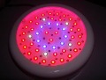 Blue Red Light Wave Chrome Die-Casting Circuitry Board 50W Rated Power Garden Lights