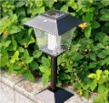 Solar Energy Stainless Steel LED Gift Lamp Landscape Decoration Garden Lights