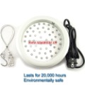 Multiple Colors 50w Led Stimulate the Garden Light