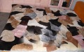 Australia Wool Fur Plate Fur Hotel Airplane Winter Plain Blanket