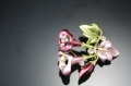 Latest Design Female Trumpet Flower Style Crystal Brooches