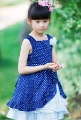 Girls' Knee Length Sleeveless Nylon / Cotton Sweet Summer Rose Dress