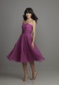 Light Purple Knee-length Chiffon & Tulle Sexy Dress