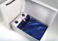 Wool & Polyester Dark Blue With Diagonal Stripes Ties