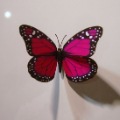 The Beautiful Butterfly Fridge Magnet