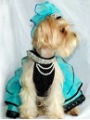 Luxury Blue Stocked Bowknot Organza Dog Skirt