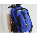 Blue With Buttons Nylon Picnic Bags