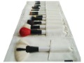 Elegant Wood Goat Hair Makeup Brush Set