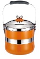 Stainless Steel Orange With A Handle Pot