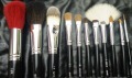 Black Handle Wood Beauty Professional Makeup Brush Set