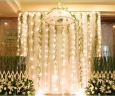 Indoor & Outdoor White Color LED Light Christmas Decorations