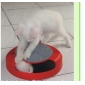 Red & Gray Round Shape Plastic Cat Toy