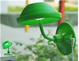 images/v/20111122/1321945586_173.jpg