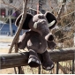 Elephant Shape Mini Size Lovely Stuffed & Plush Animal