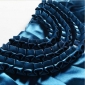 images/v/20120414/13343839121.jpg