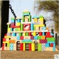 Colourful Baby Garden 100 Pieces Blocks