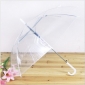 White Transparent With Handle Umbrellas