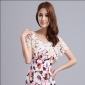 Short Sleeve Lace Knee Length Dresses
