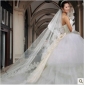 Lace Edge Ivory Super Long Bridal Veils