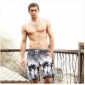 Gray Coconut Images On Quick Dry Men's Beach Shorts